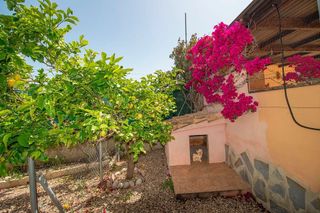 Casa rural en venta en Albatera