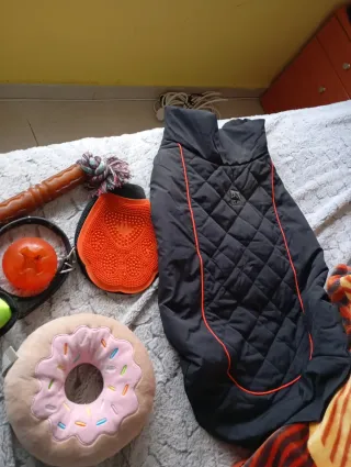 Conjunto di articoli per cani