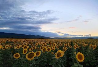 Chalet en venta en Villarcayo de Merindad de Castilla la Vieja