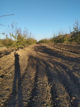 Solar en venta en Bullas