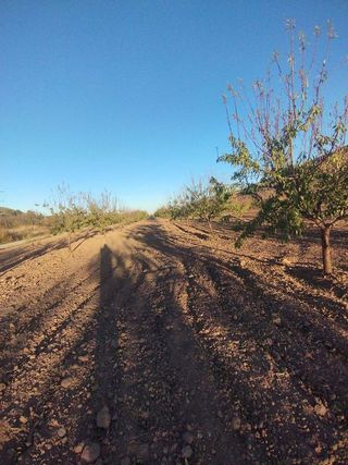Solar en venta en Bullas