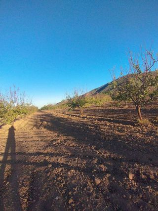 Solar en venta en Bullas