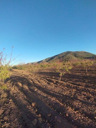 Solar en venta en Bullas