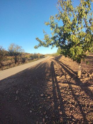 Solar en venta en Bullas