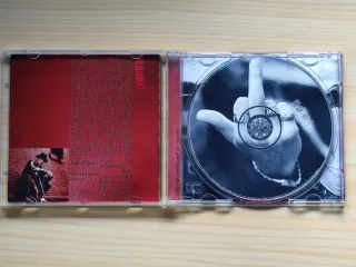 CD Kid Rock "devil without a cause"