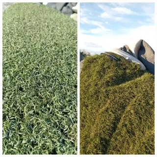 Venta de césped artificial