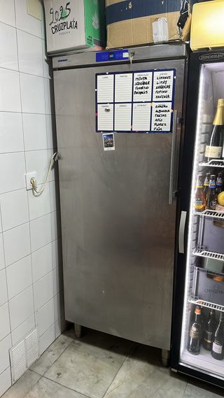 Armario Congelador Liebherr