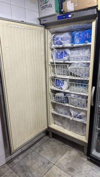 Armario Congelador Liebherr