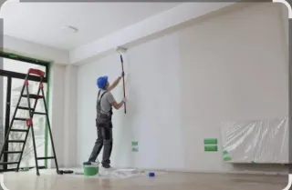 Rodillo de pintura extensible Oferta casa pintar