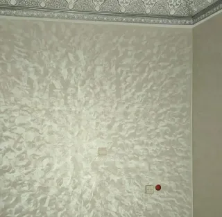 Rodillo de pintura extensible Oferta casa pintar