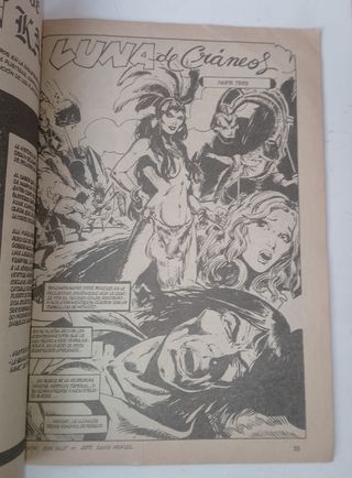 Conan El Bárbaro Relatos Salvajes. Vértice