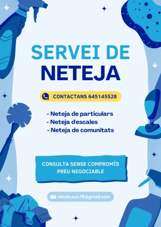 Servei de neteja a Lleida
