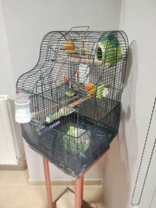 Jaula para pájaros