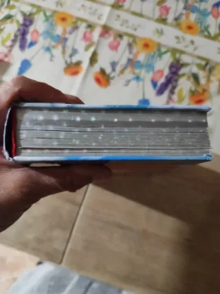 El Reino de la Fantasía. Primer viaje