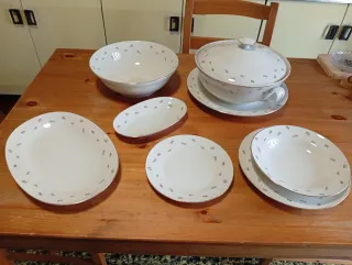 Servizio Piatti Richard Ginori Vintage Floreale