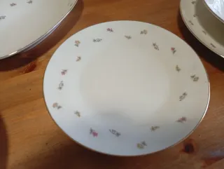 Servizio Piatti Richard Ginori Vintage Floreale