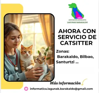 CatSitter Barakaldo Bilbao