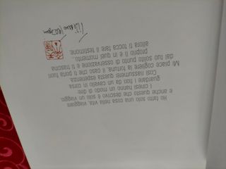 "Guardare i fiori da un cavallo in corsa"