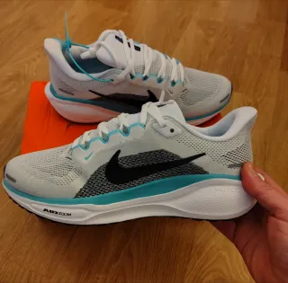 Nike Pegasus 41 Talla 43