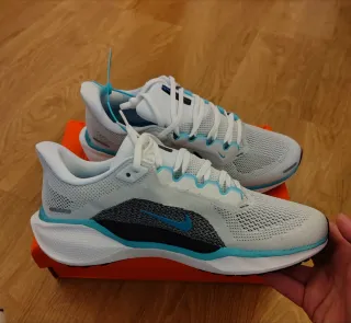 Nike Pegasus 41 Talla 43