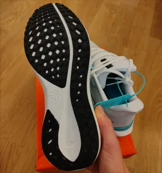 Nike Pegasus 41 Talla 43