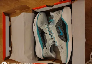 Nike Pegasus 41 Talla 43