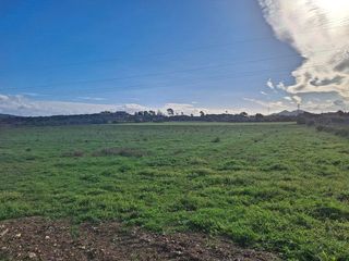 Solar en venta en Manacor Centro en Manacor