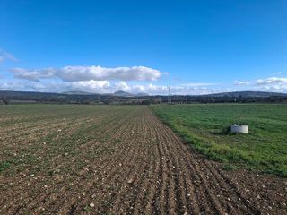 Solar en venta en Manacor Centro en Manacor