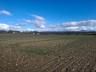 Solar en venta en Manacor Centro en Manacor