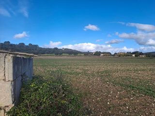 Solar en venta en Manacor Centro en Manacor