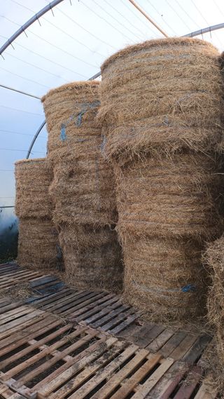 Bolas de hierba-yerba