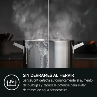 Placa de inducción AEG V64IIB10FB