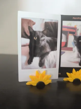 Soporte Polaroid Margarita Instax