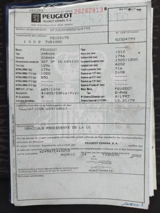 Peugeot 307 2002