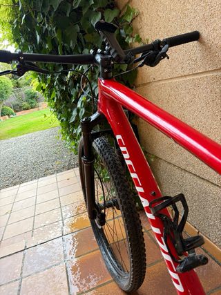 Bicicleta MTB Specialized Carbono 29 Taglia L