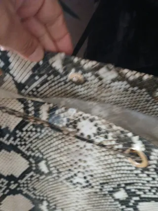 Bolso Roberto Cavalli estampado serpiente
