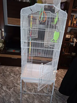 Jaula de pájaro con soporte