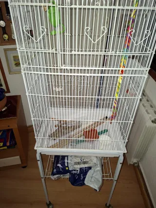 Jaula de pájaro con soporte