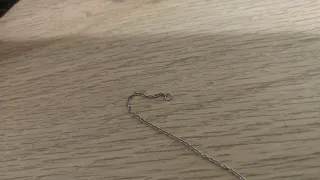 Collana Daniel Wellington cerchi argento