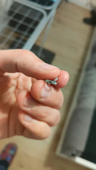 Collana Daniel Wellington cerchi argento