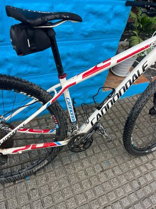 Bicicleta Montaña Cannondale Lefty F29