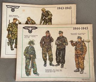 Waffen SS  + German Infantry in Action