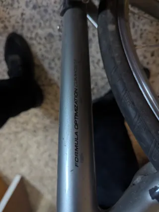 Bicicleta de carretera Giant Rozesa