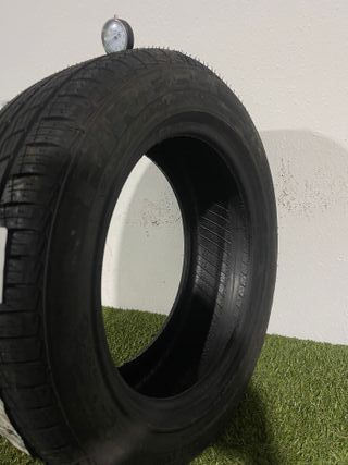 205 55 16 91V PIRELLI P7