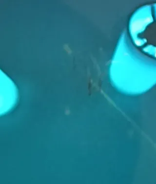 Gafas de Sol Ray-Ban Aviator Azul Dorado