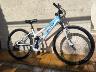 Bicicleta TOPBIKE 100