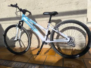 Bicicleta TOPBIKE 100