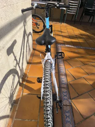 Bicicleta TOPBIKE 100