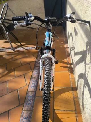 Bicicleta TOPBIKE 100