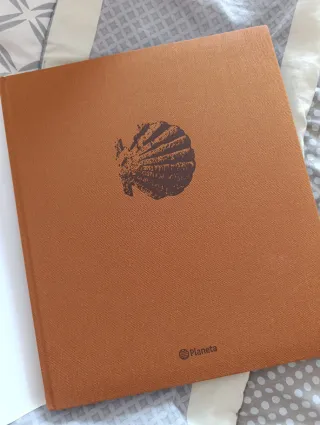 Rutas de España. El Camino de Santiago